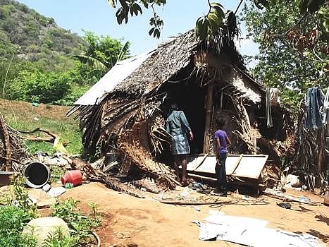 பழனி அருகே குடியிருப்பு பகுதிக்குள் புகுந்த ஒற்றை யானை